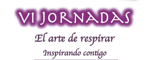 VI jornadas